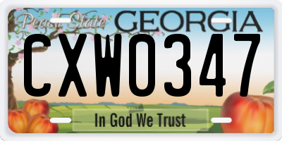GA license plate CXW0347