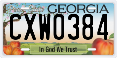 GA license plate CXW0384
