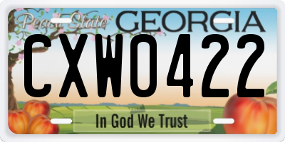 GA license plate CXW0422