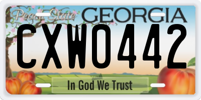 GA license plate CXW0442