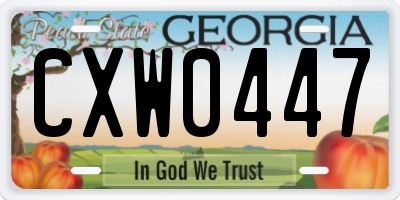 GA license plate CXW0447
