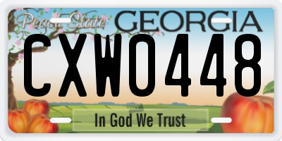 GA license plate CXW0448