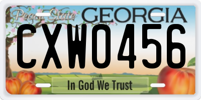 GA license plate CXW0456