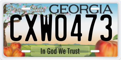 GA license plate CXW0473