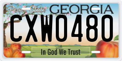 GA license plate CXW0480