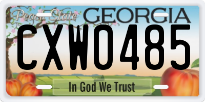 GA license plate CXW0485