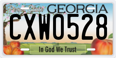 GA license plate CXW0528
