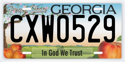 GA license plate CXW0529