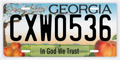 GA license plate CXW0536