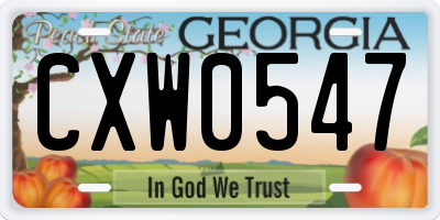 GA license plate CXW0547