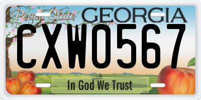 GA license plate CXW0567