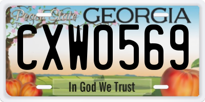 GA license plate CXW0569