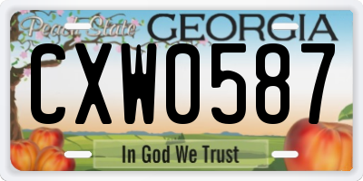 GA license plate CXW0587