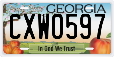 GA license plate CXW0597