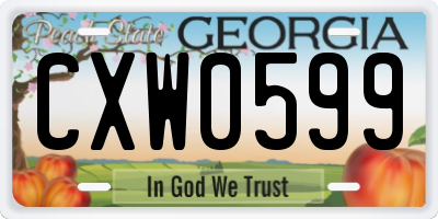 GA license plate CXW0599