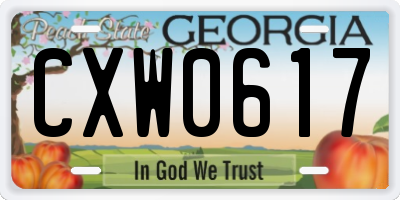 GA license plate CXW0617