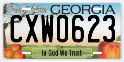 GA license plate CXW0623