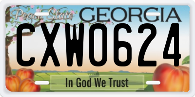 GA license plate CXW0624