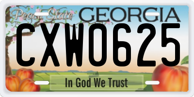 GA license plate CXW0625