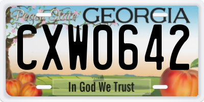 GA license plate CXW0642