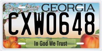 GA license plate CXW0648