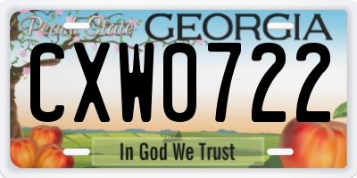 GA license plate CXW0722