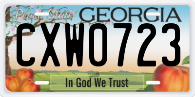 GA license plate CXW0723