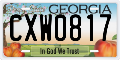 GA license plate CXW0817