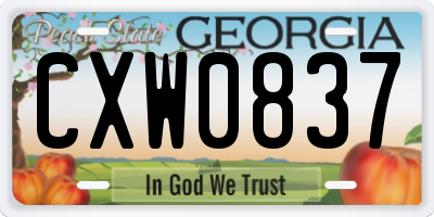 GA license plate CXW0837