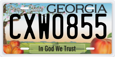 GA license plate CXW0855