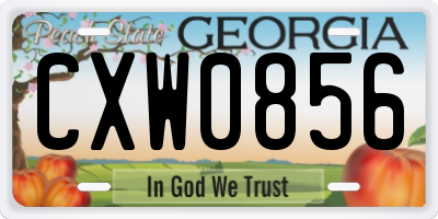 GA license plate CXW0856