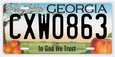 GA license plate CXW0863