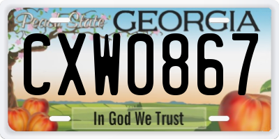 GA license plate CXW0867