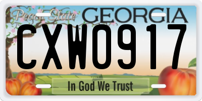 GA license plate CXW0917