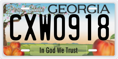 GA license plate CXW0918