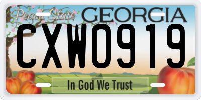 GA license plate CXW0919