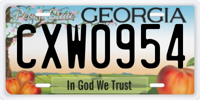 GA license plate CXW0954