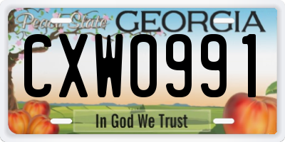 GA license plate CXW0991