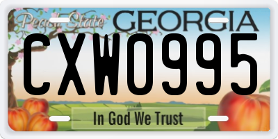 GA license plate CXW0995