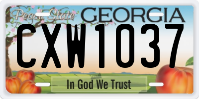 GA license plate CXW1037