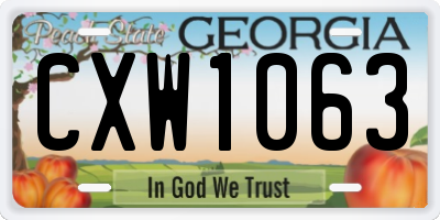 GA license plate CXW1063