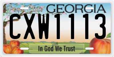 GA license plate CXW1113