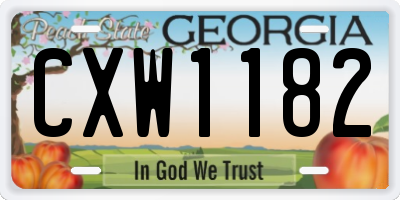 GA license plate CXW1182