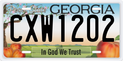 GA license plate CXW1202