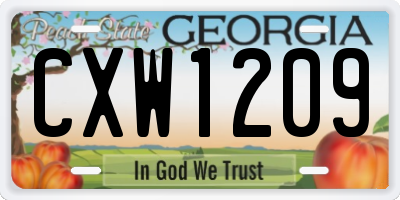 GA license plate CXW1209