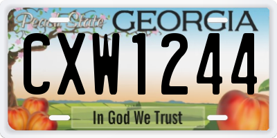 GA license plate CXW1244