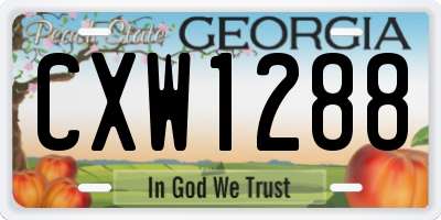 GA license plate CXW1288