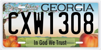 GA license plate CXW1308