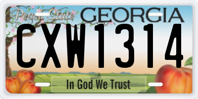 GA license plate CXW1314