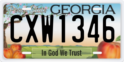 GA license plate CXW1346